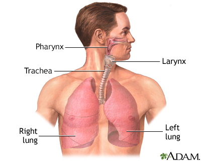 Lung transplant - series - Presentation Thumbnail                    