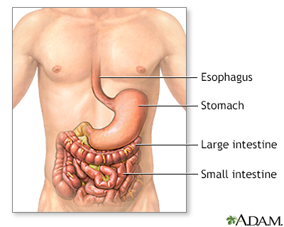 Inflammatory bowel disease - series - Presentation Thumbnail                    