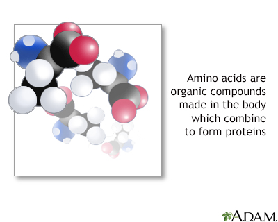 Amino acids - Illustration Thumbnail                      