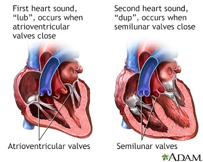 Heart beat - Illustration Thumbnail                      