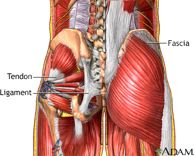 Muscle pain - Illustration Thumbnail                      
