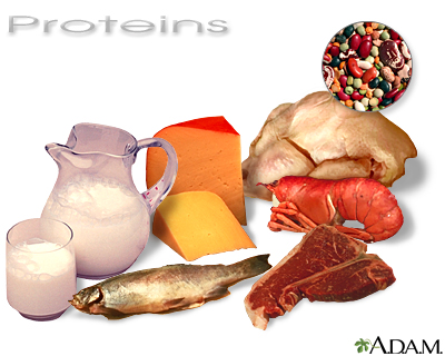 Proteins - Illustration Thumbnail                      