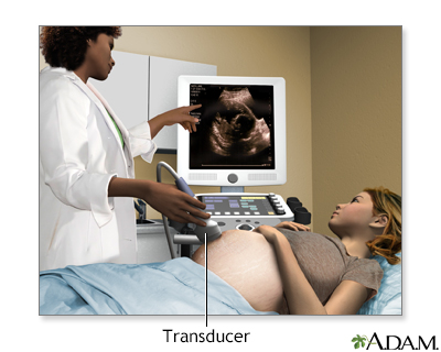 Ultrasound in pregnancy - Illustration Thumbnail                      