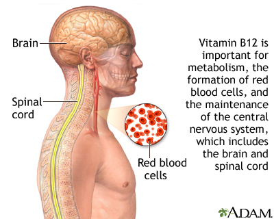 Vitamin B12 benefits - Illustration Thumbnail                      