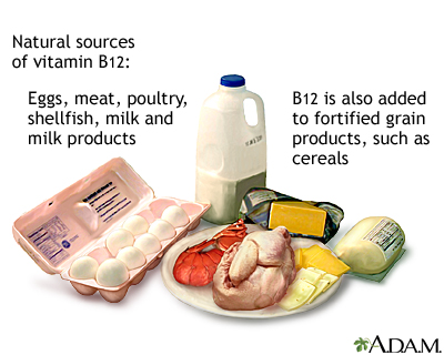 Vitamin B12 source - Illustration Thumbnail                      