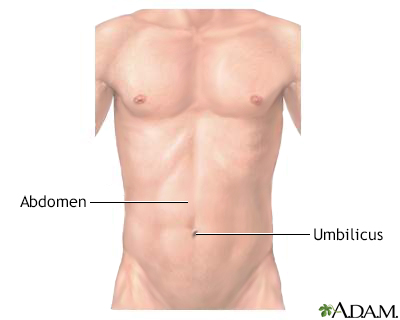 Normal external abdomen - Illustration Thumbnail                      