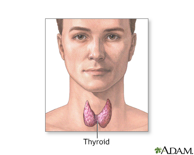 Thyroid gland - Illustration Thumbnail                      