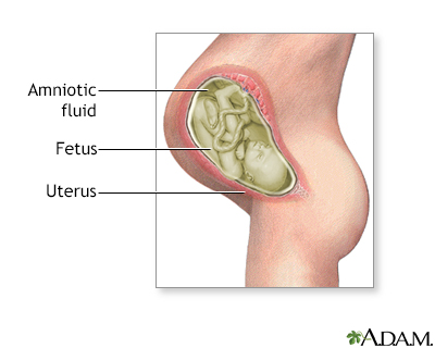 Amniotic fluid - Illustration Thumbnail                      