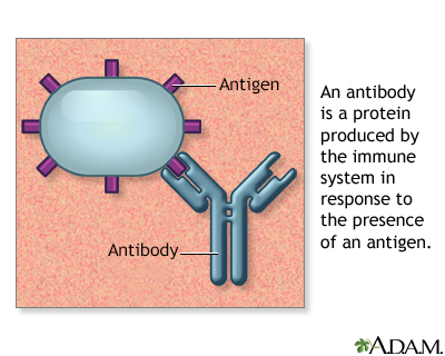 Antibodies - Illustration Thumbnail                      