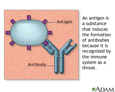Antigens - Illustration Thumbnail                      