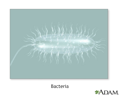 Bacteria - Illustration Thumbnail                      