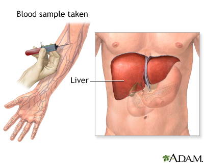 Liver function tests - Illustration Thumbnail                      